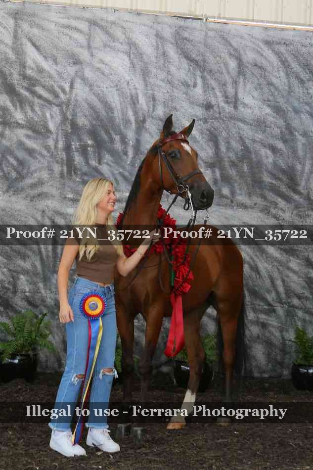 Proof 21YN_35722