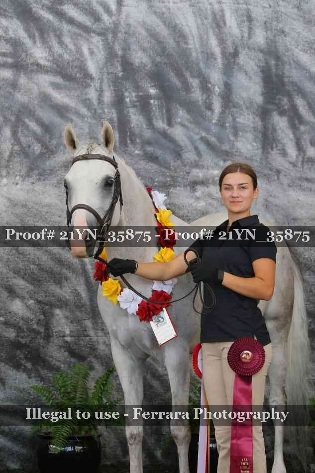 Proof 21YN_35875