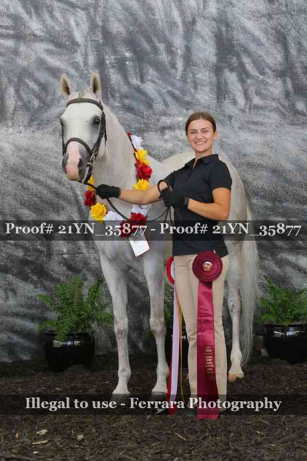Proof 21YN_35877