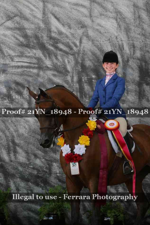 Proof 21YN_18948