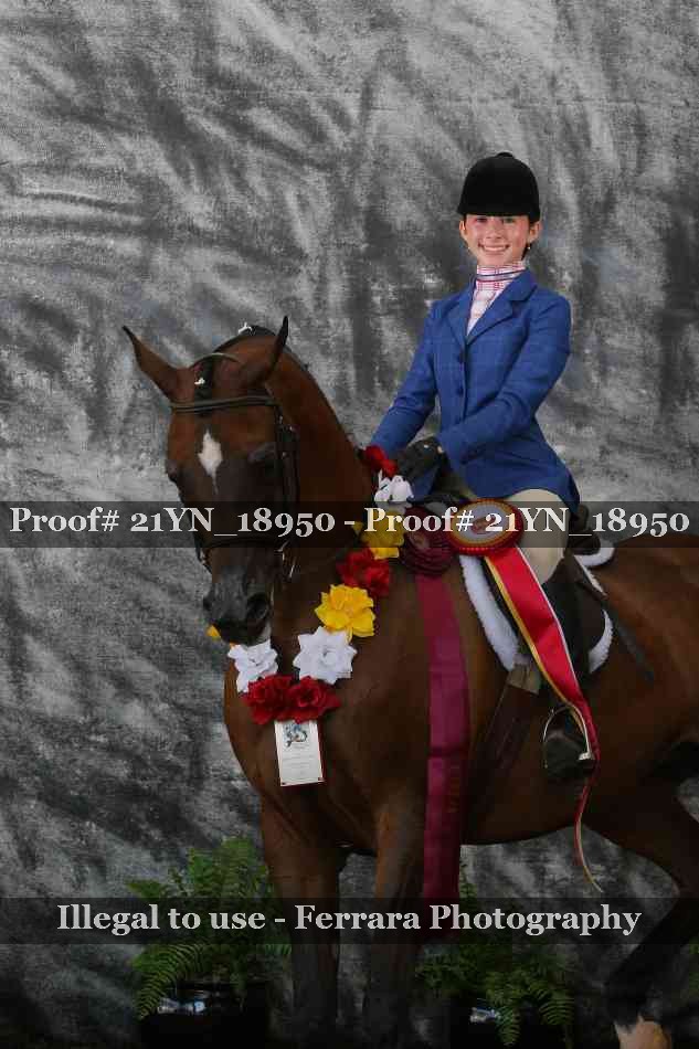 Proof 21YN_18950