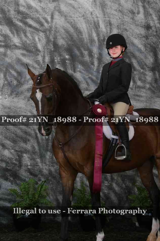 Proof 21YN_18988