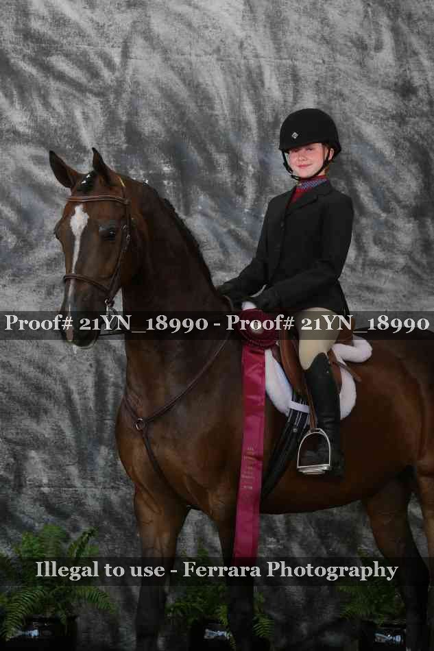 Proof 21YN_18990