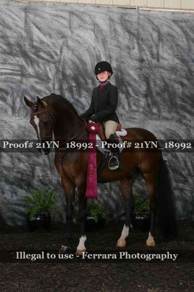 Proof 21YN_18992