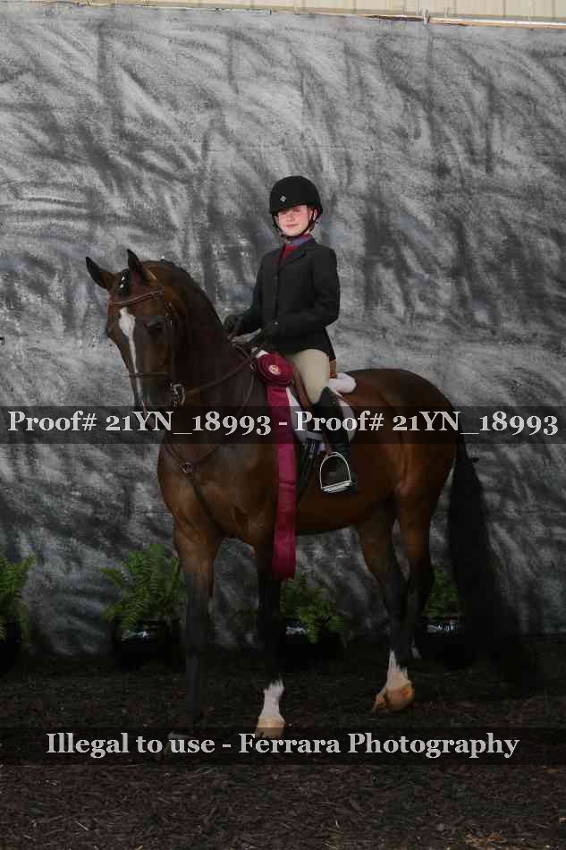 Proof 21YN_18993