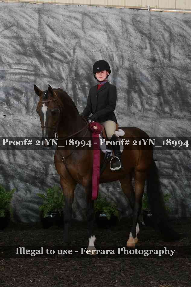 Proof 21YN_18994