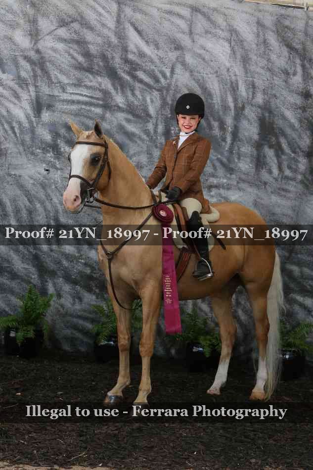 Proof 21YN_18997