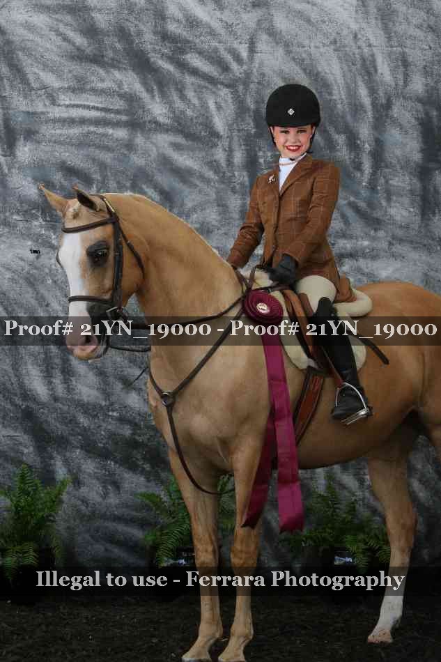Proof 21YN_19000