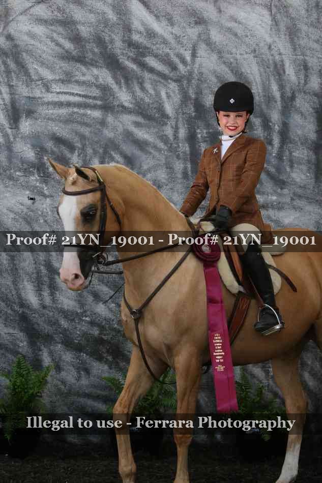 Proof 21YN_19001