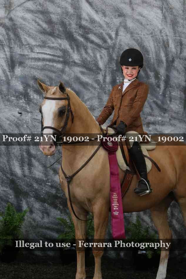 Proof 21YN_19002