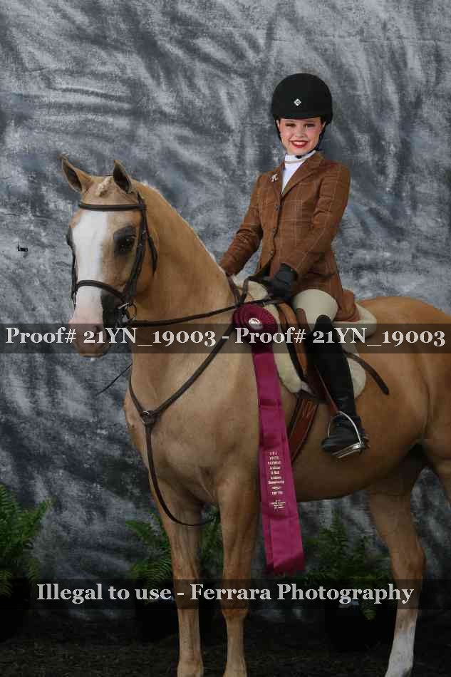 Proof 21YN_19003