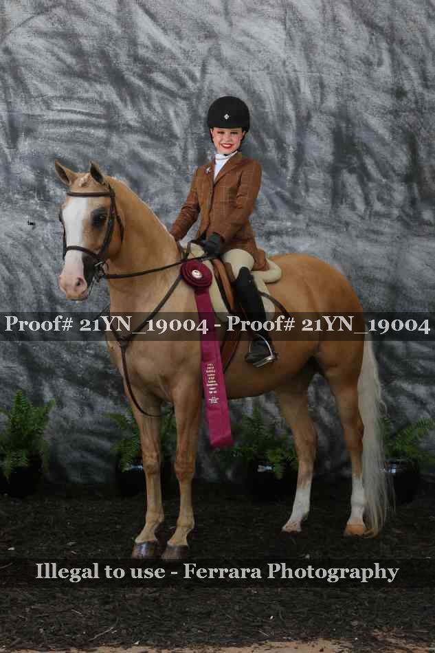 Proof 21YN_19004