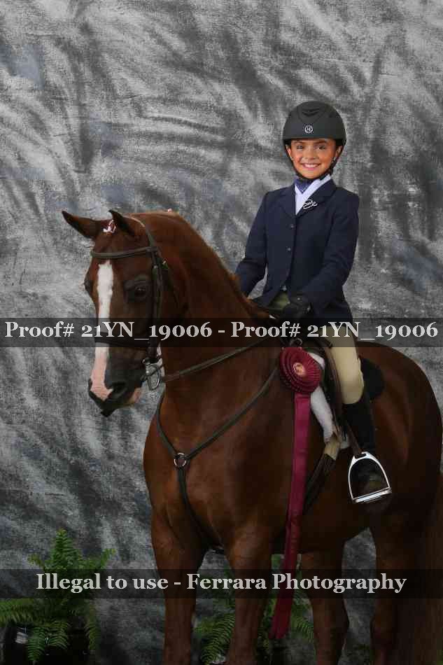 Proof 21YN_19006
