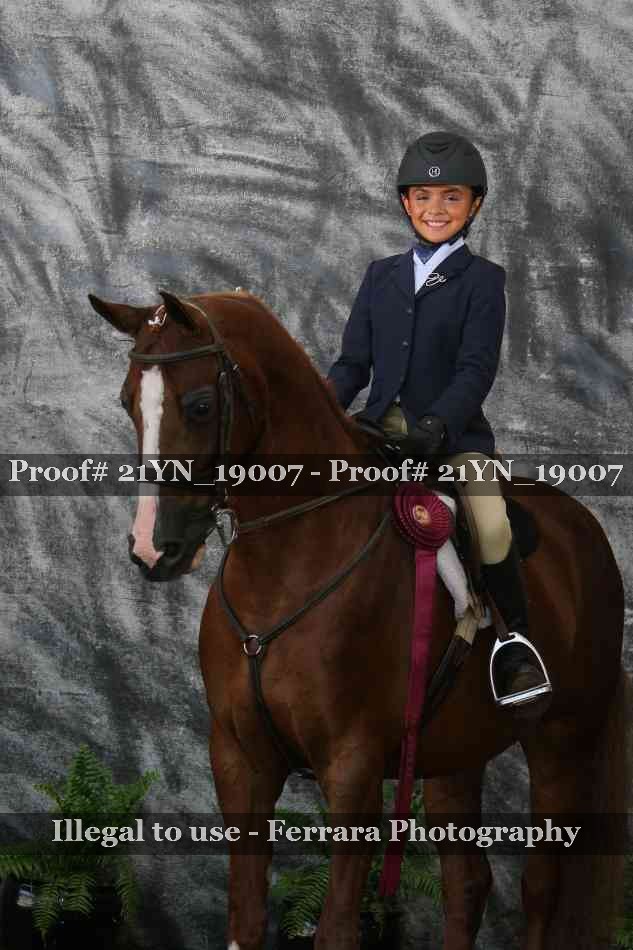 Proof 21YN_19007