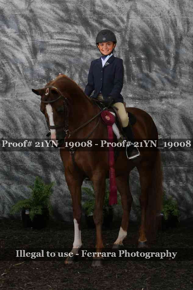 Proof 21YN_19008