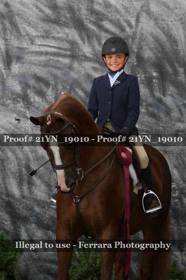 Proof 21YN_19010