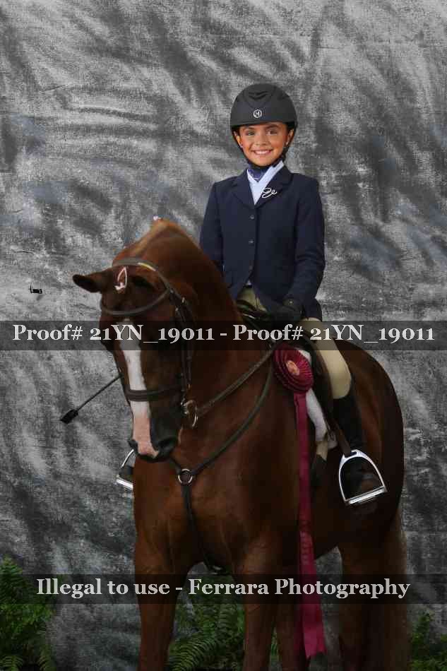 Proof 21YN_19011