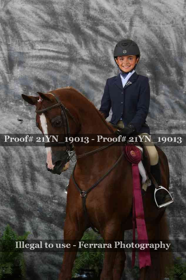 Proof 21YN_19013
