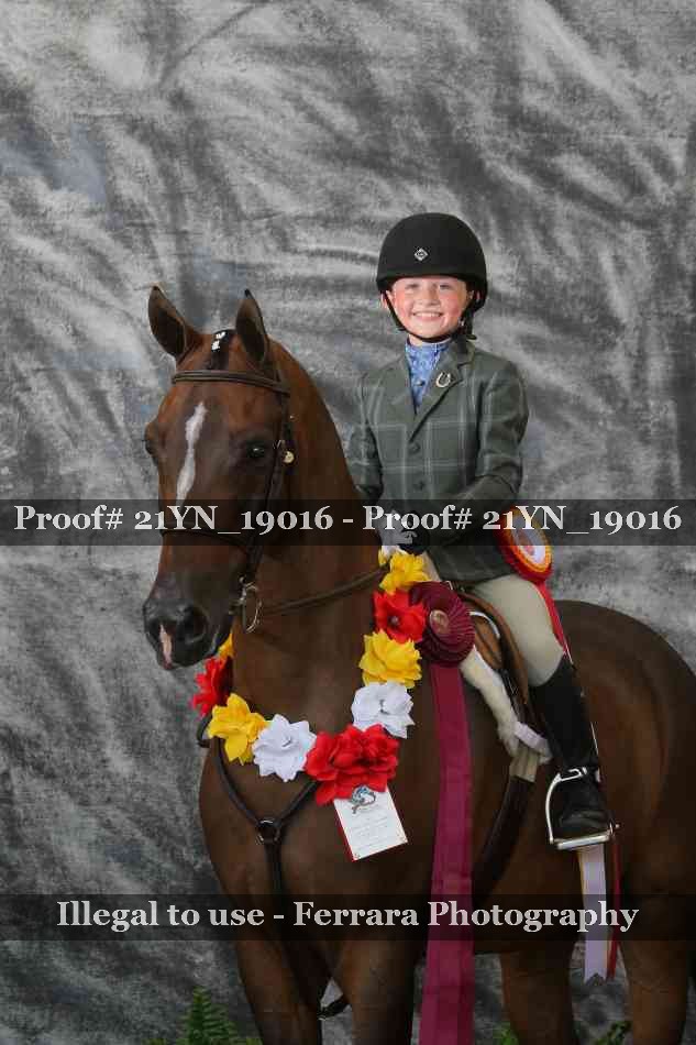 Proof 21YN_19016