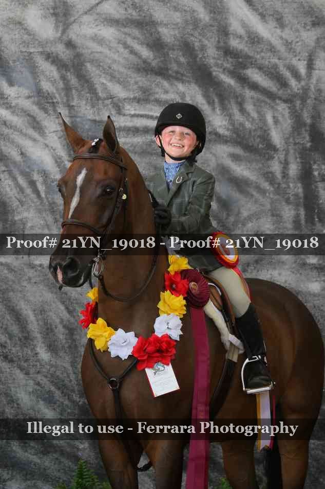 Proof 21YN_19018