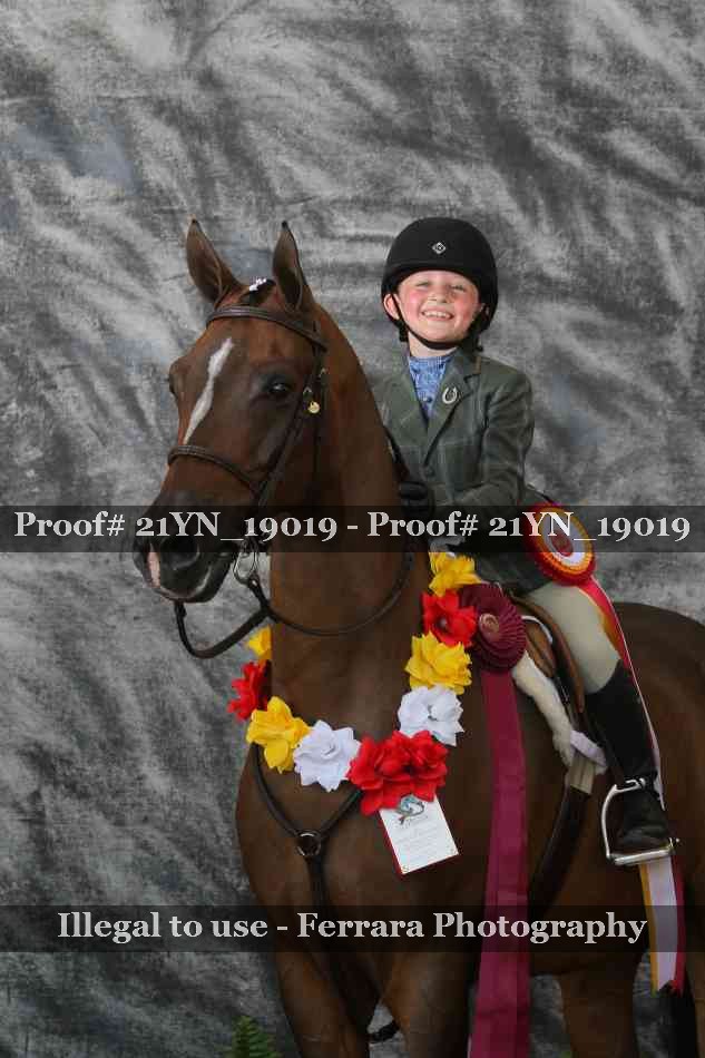 Proof 21YN_19019