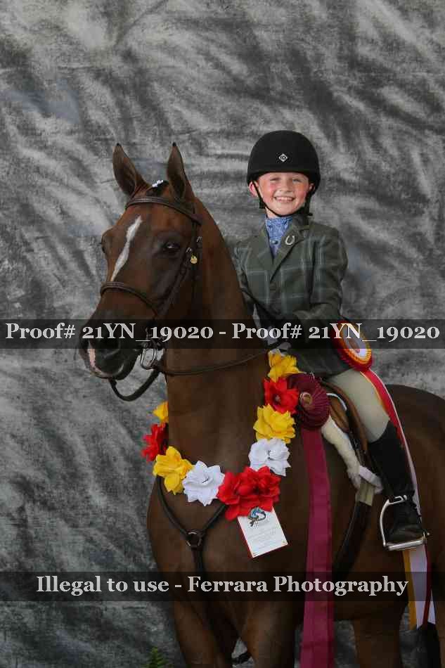 Proof 21YN_19020