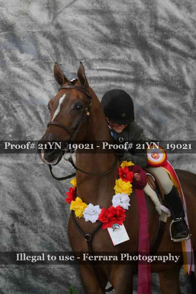 Proof 21YN_19021