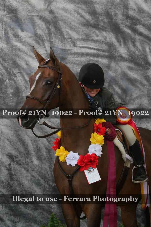 Proof 21YN_19022