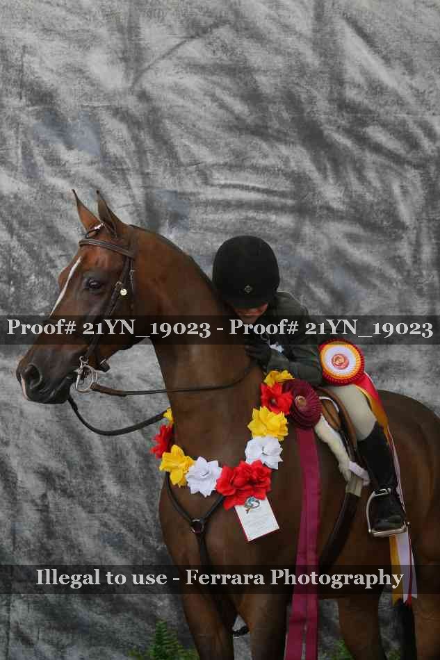 Proof 21YN_19023