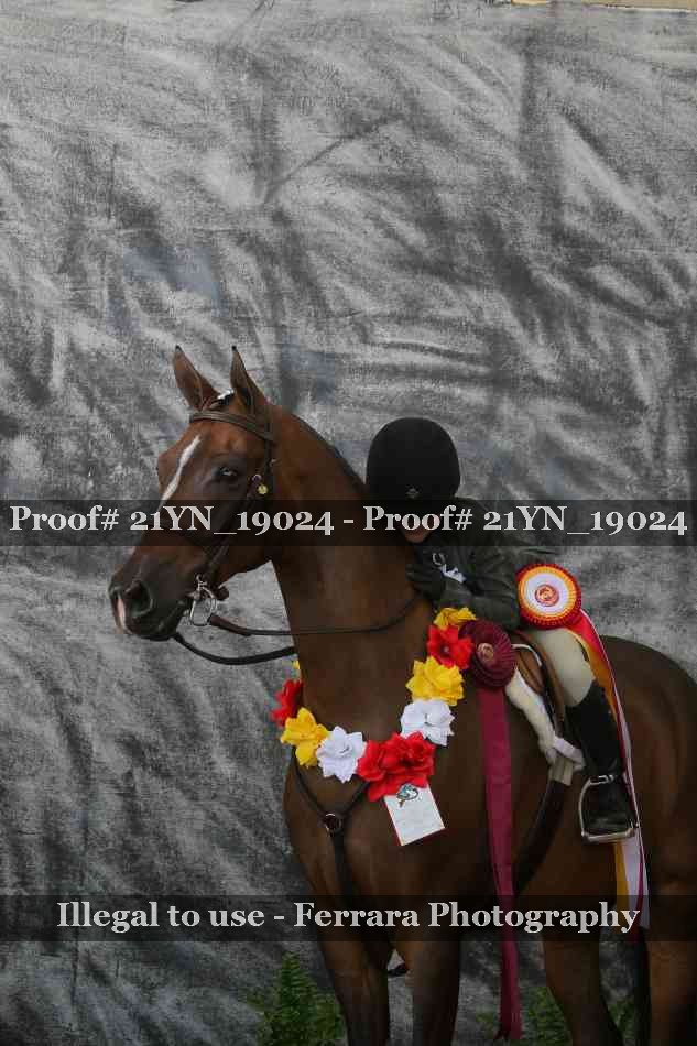 Proof 21YN_19024