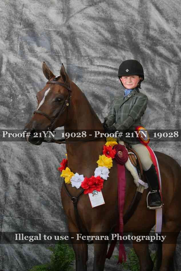 Proof 21YN_19028