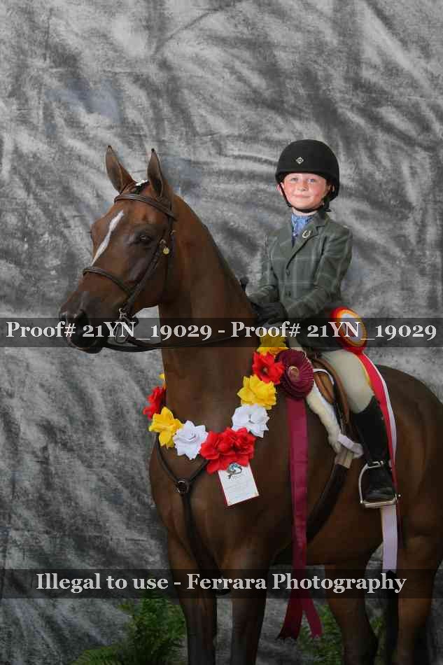 Proof 21YN_19029
