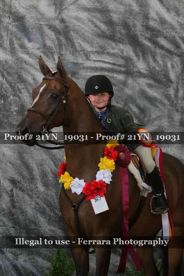 Proof 21YN_19031