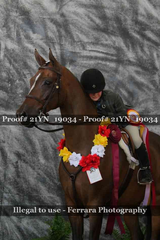 Proof 21YN_19034