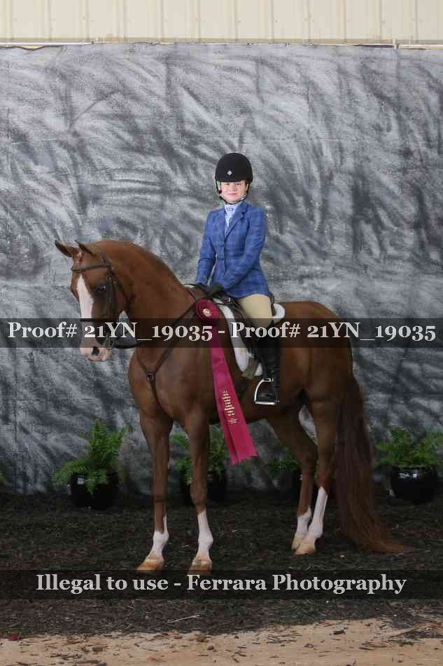 Proof 21YN_19035