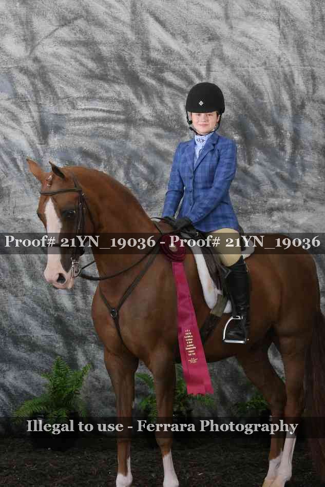 Proof 21YN_19036