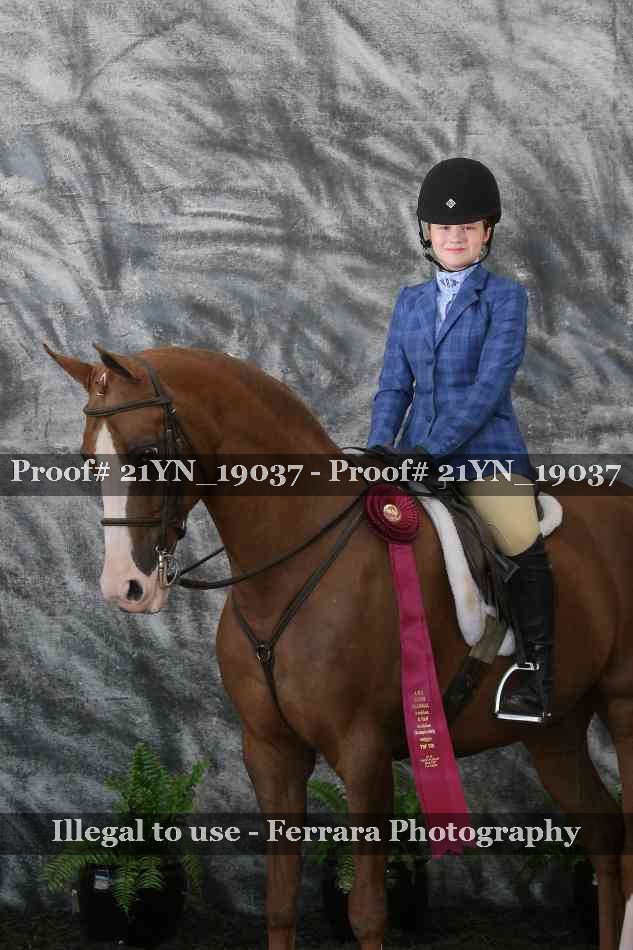 Proof 21YN_19037