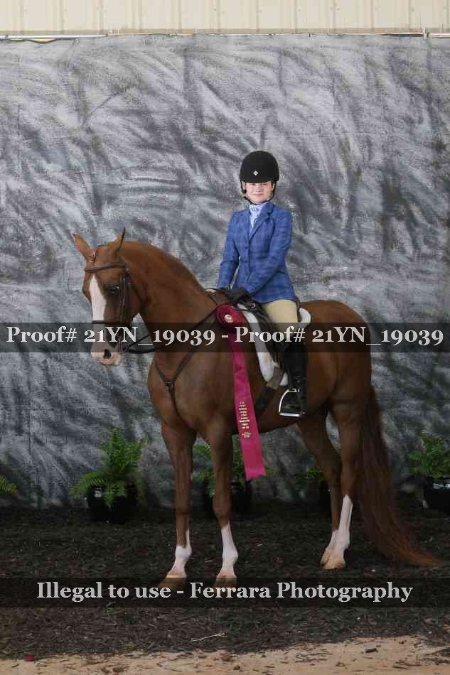 Proof 21YN_19039