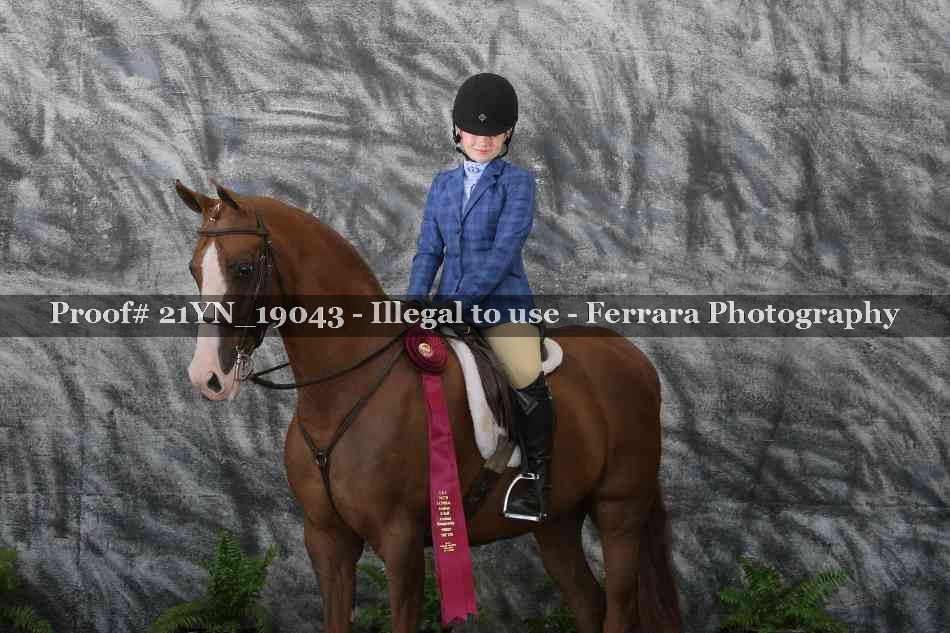 Proof 21YN_19043