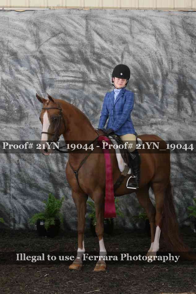 Proof 21YN_19044