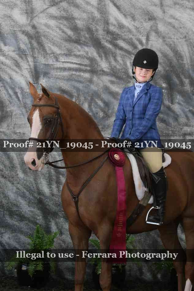 Proof 21YN_19045