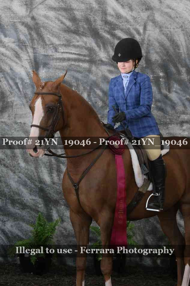 Proof 21YN_19046
