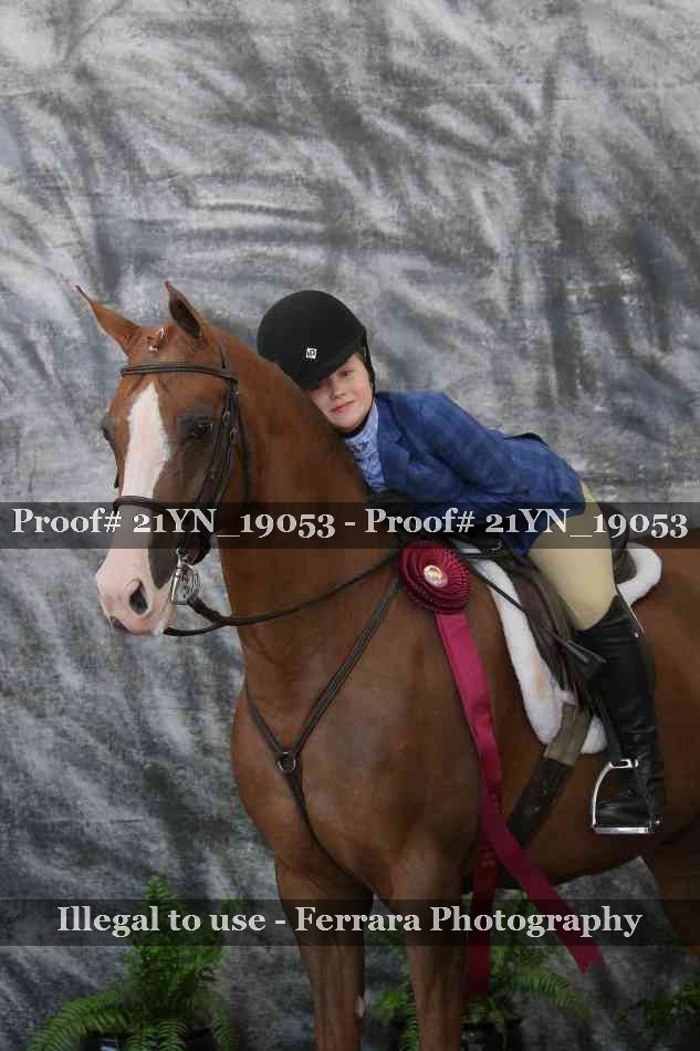 Proof 21YN_19053