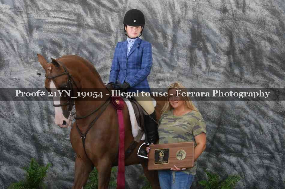 Proof 21YN_19054