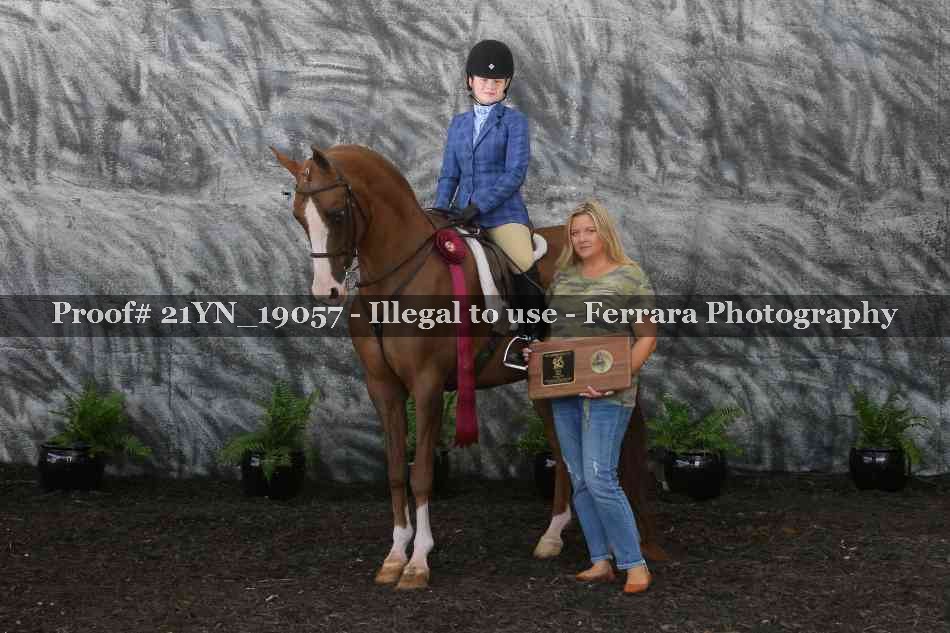 Proof 21YN_19057