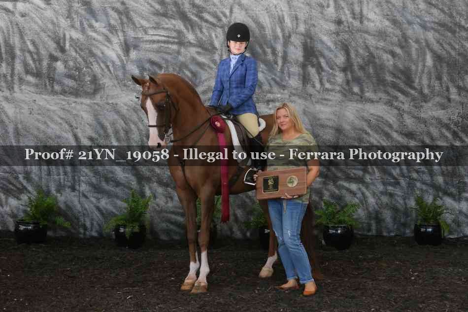 Proof 21YN_19058