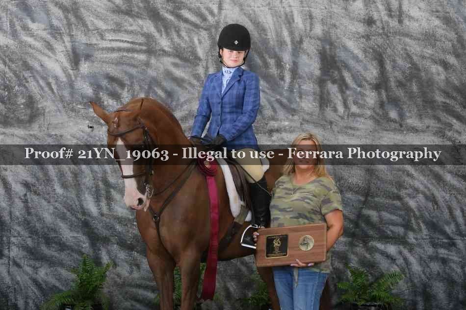 Proof 21YN_19063