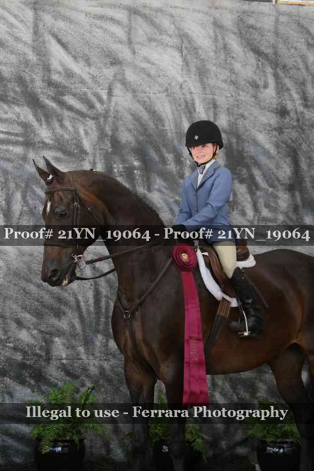 Proof 21YN_19064