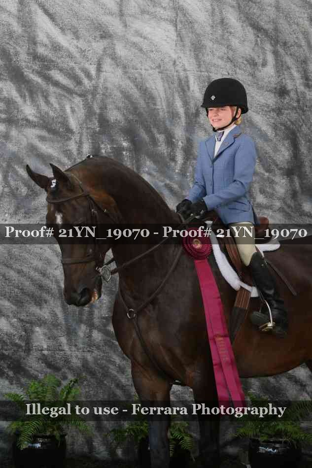 Proof 21YN_19070