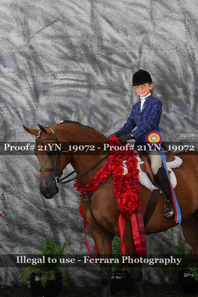 Proof 21YN_19072